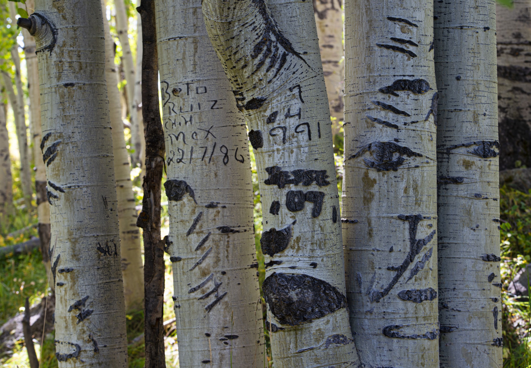 09_24_19 crested butte0936.jpg